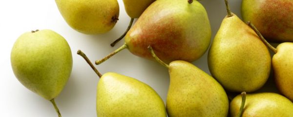 闌尾炎吃什么水果最好