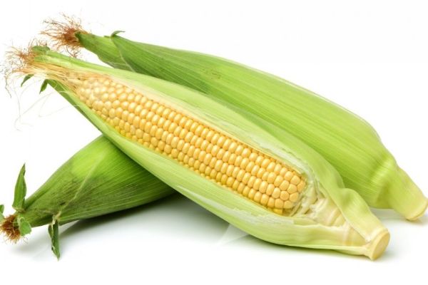 2025含糖量低的十大粗粮 最新低糖量粗粮分享 含糖量低的十大粗粮