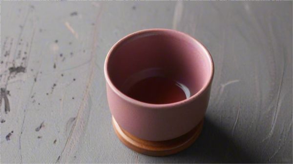 茶對皮膚美容的神奇功效