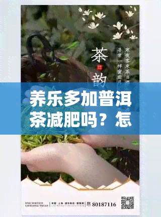 养乐多加普洱茶减肥吗？怎么喝的？有效饮用方法