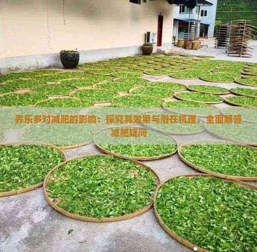 养乐多对减肥的影响：探究其效果与潜在机理，全面解答减肥疑问