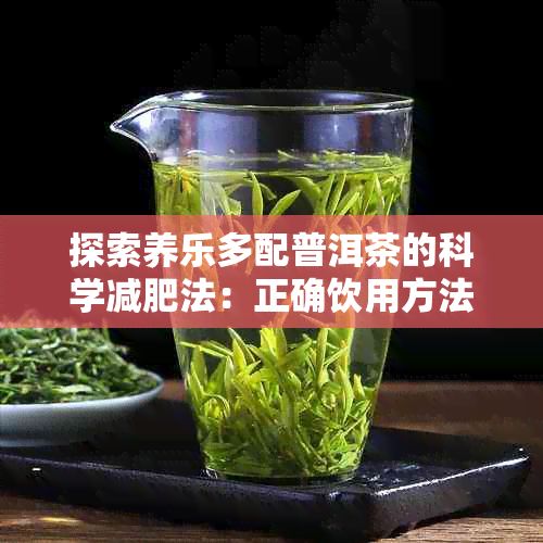 探索养乐多配普洱茶的科学减肥法:正确饮用方法与效果揭秘