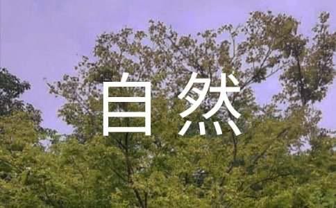 花草茶 自然的健康饮品