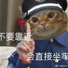 一只鱼跃