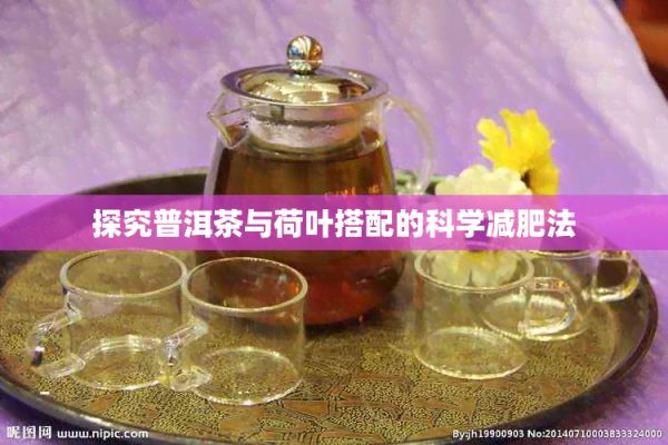 探究普洱茶与荷叶搭配的科学减肥法