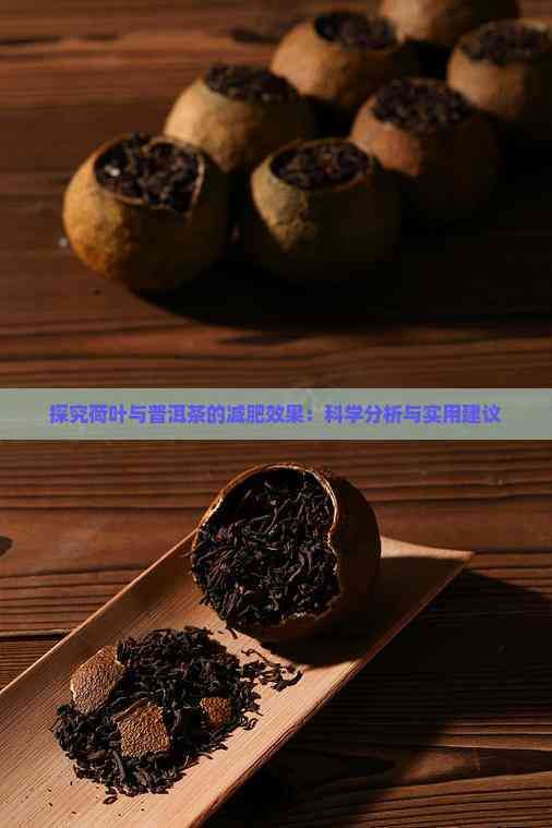 探究荷叶与普洱茶的减肥效果：科学分析与实用建议