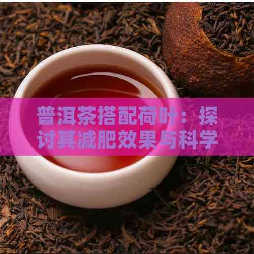 普洱茶搭配荷叶：探讨其减肥效果与科学原理