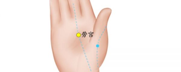 外劳宫穴穴位图 外劳宫穴穴位的准确位置图 外劳宫穴作用