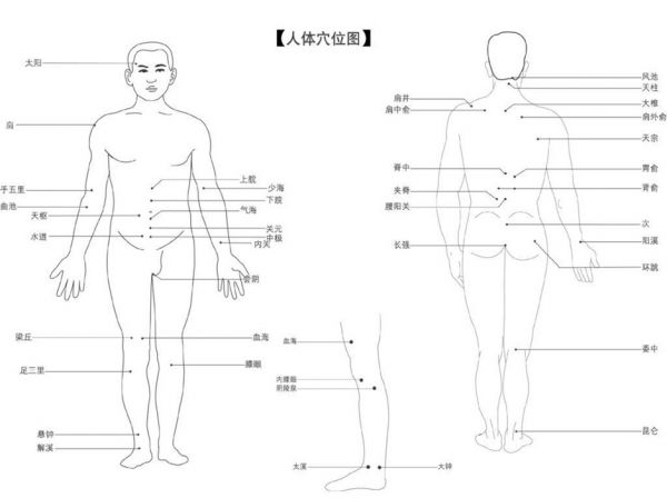 人体穴位分布图