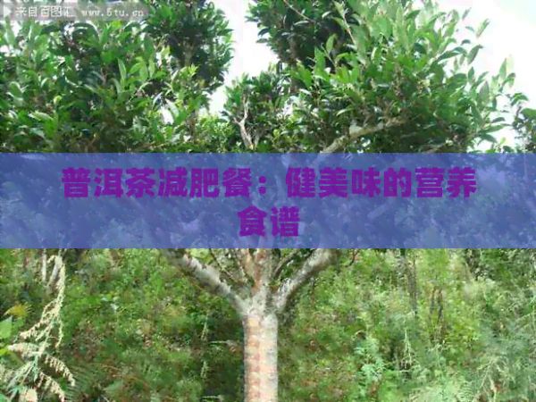 普洱茶减肥餐：健美味的营养食谱