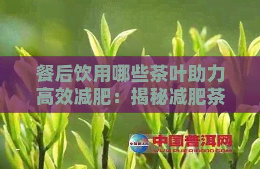 餐后饮用哪些茶叶助力高效减肥：揭秘减肥茶饮方案