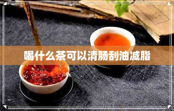 喝什么茶可以清肠刮油减脂