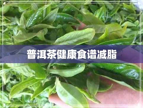 普洱茶健康食谱减脂