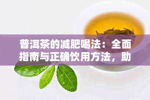 普洱茶的减肥喝法：全面指南与正确饮用方法，助您高效瘦身