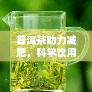 普洱茶助力减肥，科学饮用效果更佳