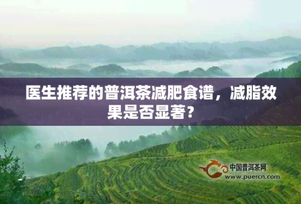 医生推荐的普洱茶减肥食谱，减脂效果是否显著？