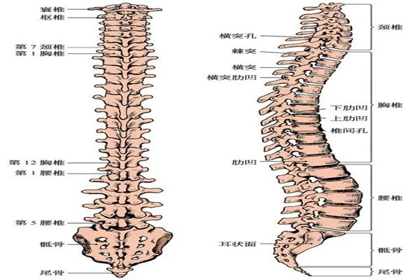 40011659424884898
