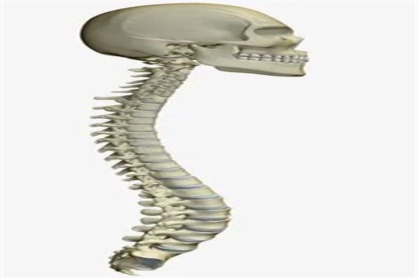 8381659424910545