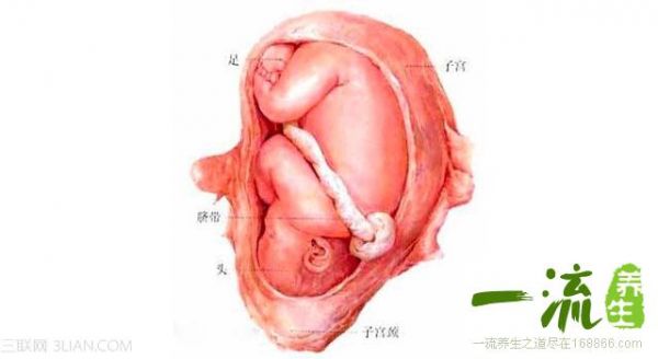 关于脊椎健康的一切
