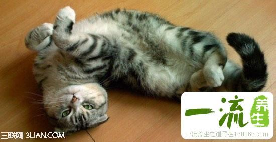 关于脊椎健康的一切