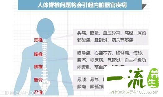 关于脊椎健康的一切