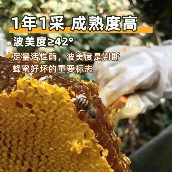 【蜂蜜50】每天早上喝一杯蜂蜜水有什么用：土蜂蜜正宗纯天然农家自产木桶蜂蜜野生无添加湖北大别山百花蜂蜜3092
