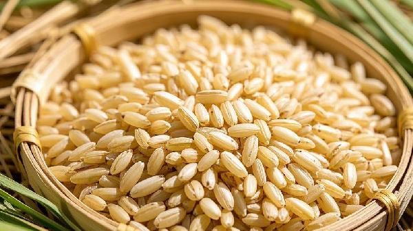 每天吃糙米饭糙米粥会瘦吗