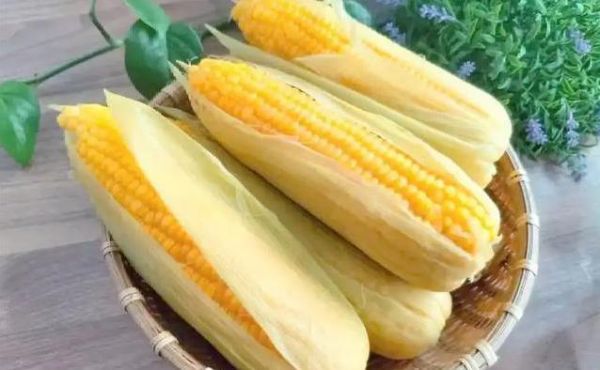 吃玉米体重飙升？搭配这4种食物，减肥梦碎！