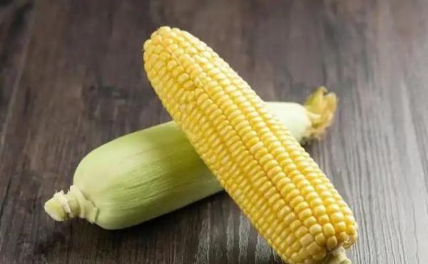 吃玉米体重飙升？搭配这4种食物，减肥梦碎！