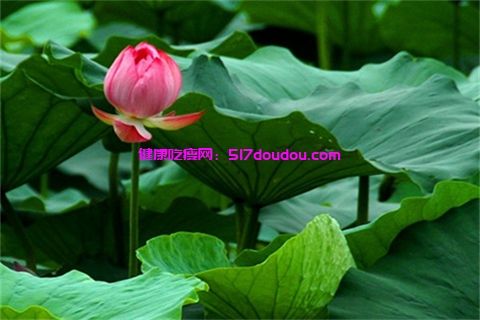 面部吸脂和黄金微雕哪个更适合你？（面部塑形选面部吸脂还是黄金微雕更合适？）