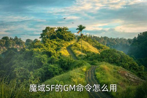 魔域SF的GM命令怎么用