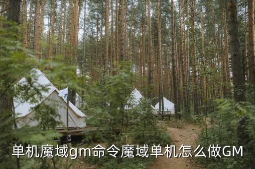 单机魔域gm命令魔域单机怎么做GM
