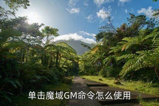 单击魔域GM命令怎么使用