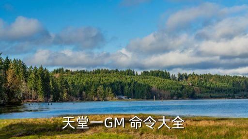 gm命令,魔域gm命令这里有教程