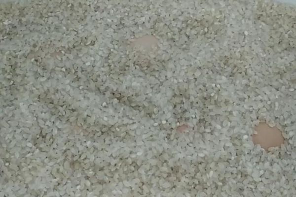 夏天鸡蛋容易坏？教你一招，不用放冰箱，保存半年都不会坏