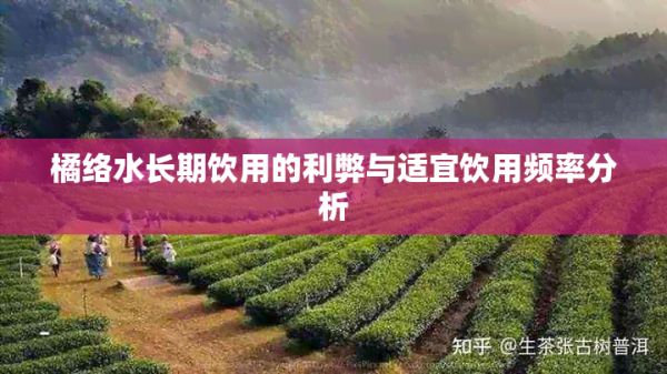 橘络水长期饮用的利弊与适宜饮用频率分析