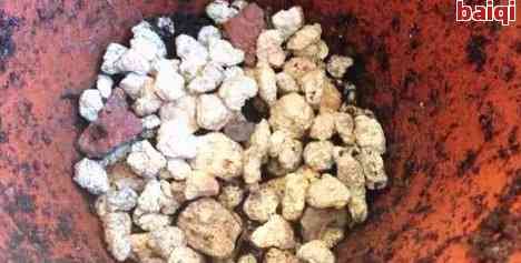 丝瓜络能和茶叶一起泡水喝吗？探讨其功效与注意事