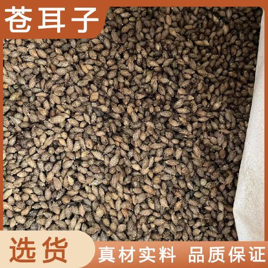 苍耳子中药材店铺药材大全正品实体店品质批发大货专卖可打粉