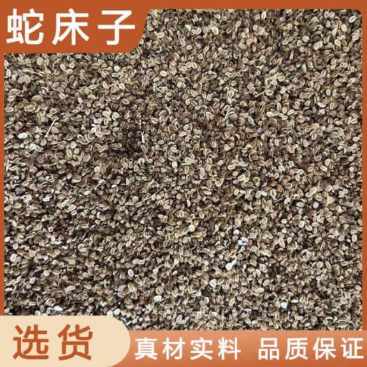 蛇床子中药材店铺药材大全正品实体店品质批发大货专卖可打粉