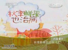 20140930健康之路视频和笔记:李乾构讲胃热的症状,陈皮的功效