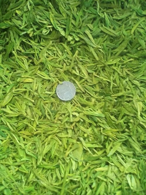 三招教你產(chǎn)出無危害茶葉