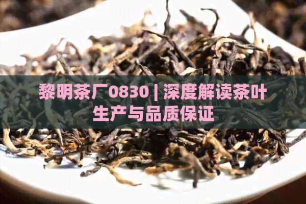 黎明茶厂0830 | 深度解读茶叶生产与品质保证