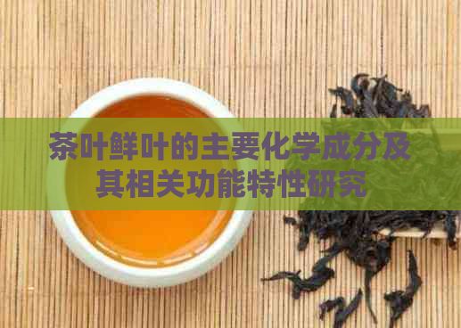茶葉鮮葉的主要化學(xué)成分及其相關(guān)功能特性研究