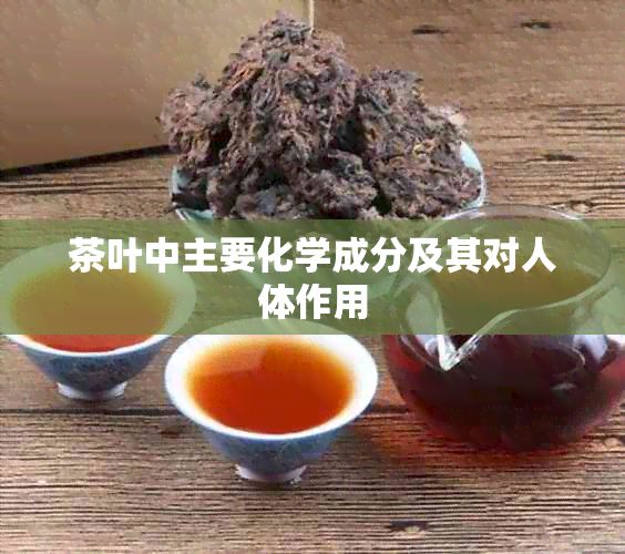 茶叶中主要化学成分及其对人体作用
