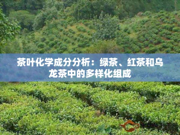 茶叶化学成分分析：绿茶、红茶和乌龙茶中的多样化组成