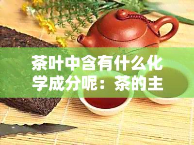 茶叶中含有什么化学成分呢：茶的主要化学成分分析