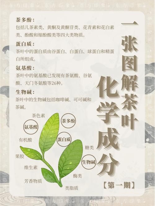 茶叶化学成分含量探究