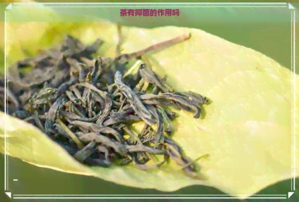 茶有抑菌的作用吗