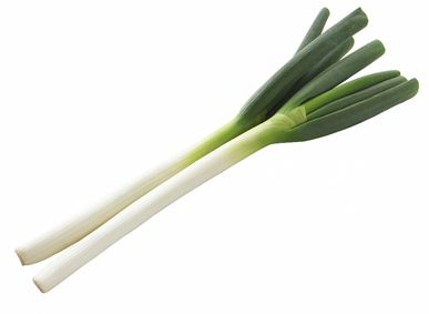 美味しいねぎの選び方と保存方法