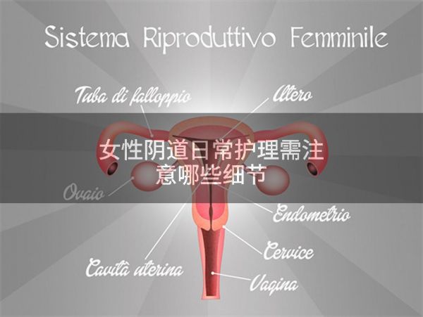 女性阴道日常护理需注意哪些细节